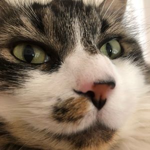 Meet your Posher, Katherine